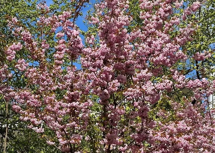 Lägenhet Kapitanskie Blizej Morza Kołobrzeg