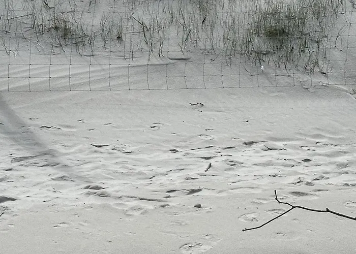 Kapitanskie Blizej Morza Kołobrzeg